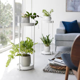 キャスター付きプランタースタンド タワー 2段(ホワイト)を使用したインテリア