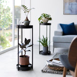 キャスター付きプランタースタンド タワー 2段(ブラック)を二つ使用したインテリア