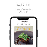 【eギフト】ベストグルメ カタログギフト