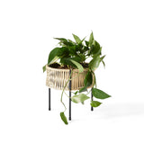 植物とプランターH27