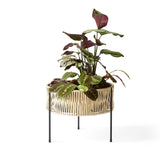 植物とプランター32.5cm