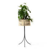 植物とプランターH69