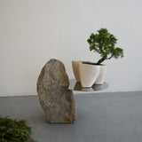 大地 +盆栽【黄金真柏】