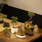 石の台座 その肆