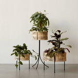 3サイズのラタンのプランター