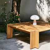 ローテーブルとランプ