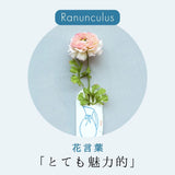 【ILLUMS by Bloom365】イルムスカタログギフト+アーティシャルフラワー(ラナンキュラス)