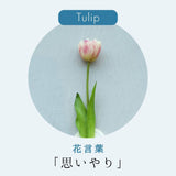 【ILLUMS by Bloom365】イルムスカタログギフト+アーティシャルフラワー(チューリップ)