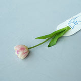 【ILLUMS by Bloom365】イルムスカタログギフト+アーティシャルフラワー(チューリップ)