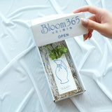 【ILLUMS by Bloom365】イルムスカタログギフト+アーティシャルフラワー(チューリップ)