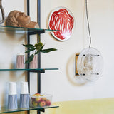 オレンジディスプレイ