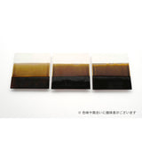 PLATE 角皿 (テンモク)個体差