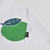 てぬぐい (カボス)のアップ