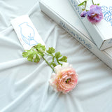 【ILLUMS by Bloom365】イルムスカタログギフト+アーティシャルフラワー(ラナンキュラス)