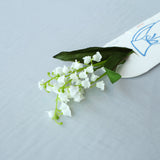 【ILLUMS by Bloom365】イルムスカタログギフト+アーティシャルフラワー(鈴蘭)