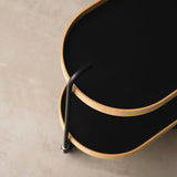 トローリーを上から見た様子