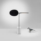 Sage(セージ)と鳥