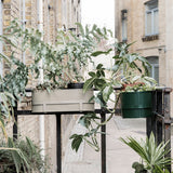 バウ バルコニーボックスにプランターを入れてフェンスに掛けたイメージシーン