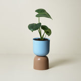 LIG-73 Tone Planter Sky and Sorrel - ILLUMS