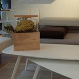 ボックスと植物