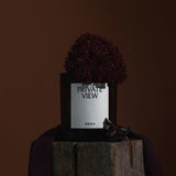 プライベートビューと植物