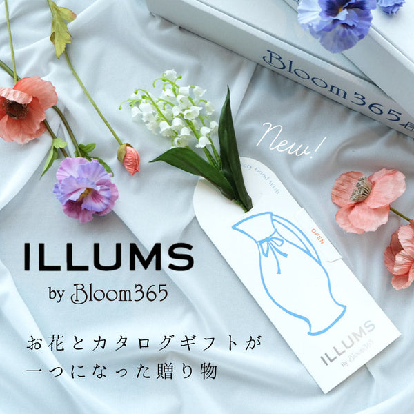 ノルディカニッセ コンテンツ – イルムス オンラインストア