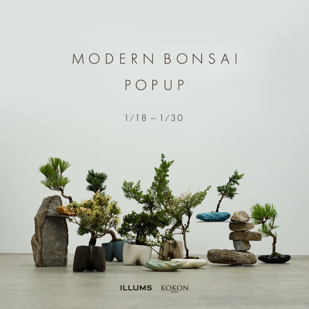 MODERN BONSAI POPUP at ILLUMS AOYAMA - イルムス オンラインストア