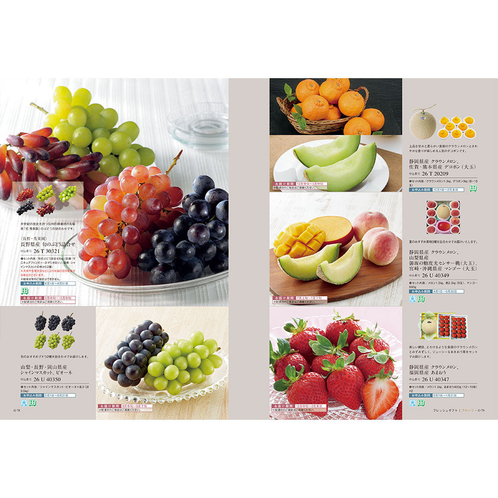 best Gourmet berthier (ベルティエ) ILLUMS online store – イルムス