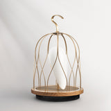 JINGOOs LED照明&ワイヤレススピーカー