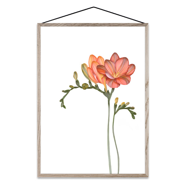4月下旬頃国内入荷予定　Forever Flowers 02 A3 - ILLUMS