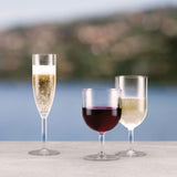 白ワイングラス 0.23Lと赤ワイングラス、シャンパングラスを並べたシーン